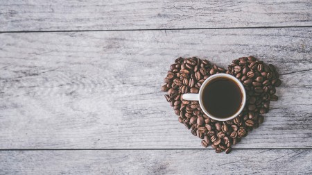 culture du café